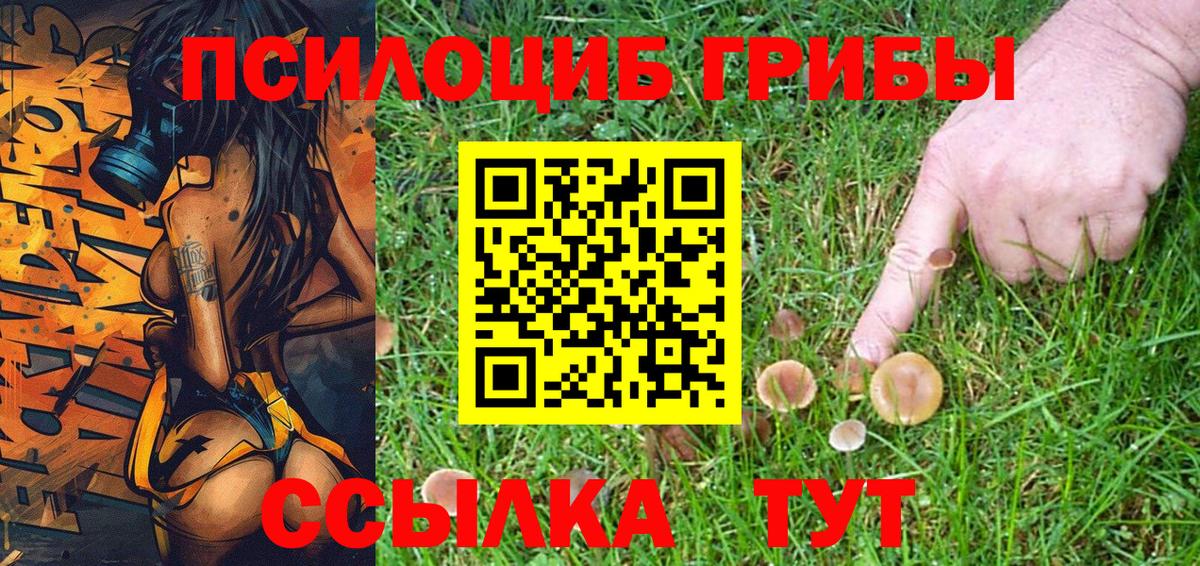 Галлюциногенные грибы Psilocybe Клин