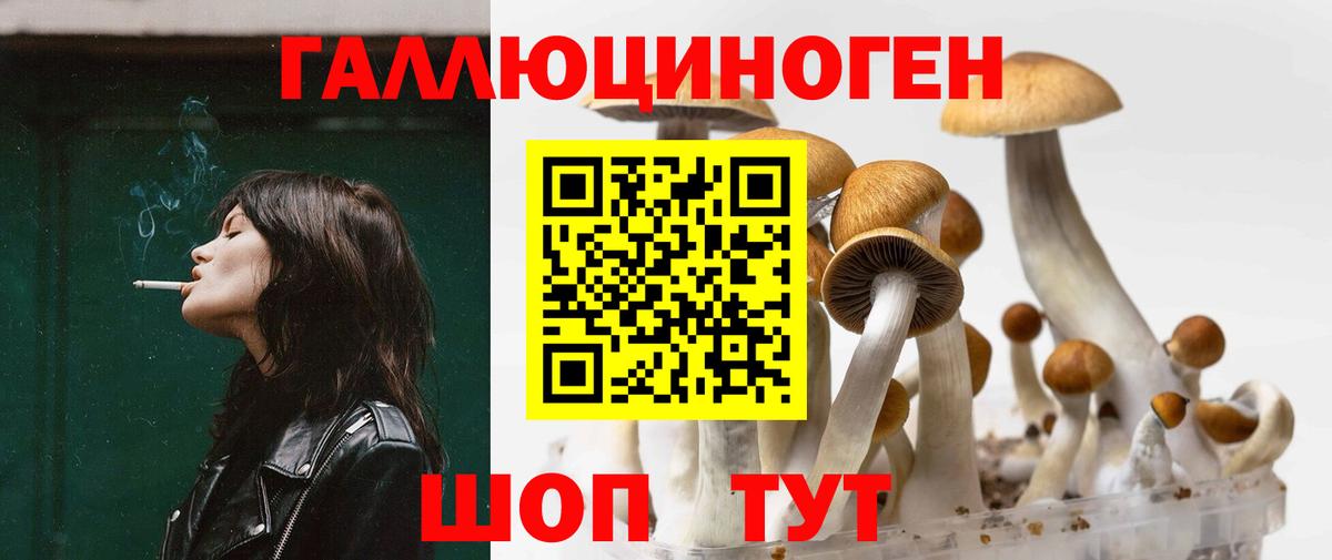 Клин  Псилоцибиновые грибы прущие грибы  Вход с VPN 